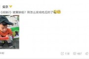 吃瓜表情是什么暗示